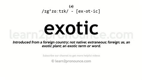 what does excotic mean